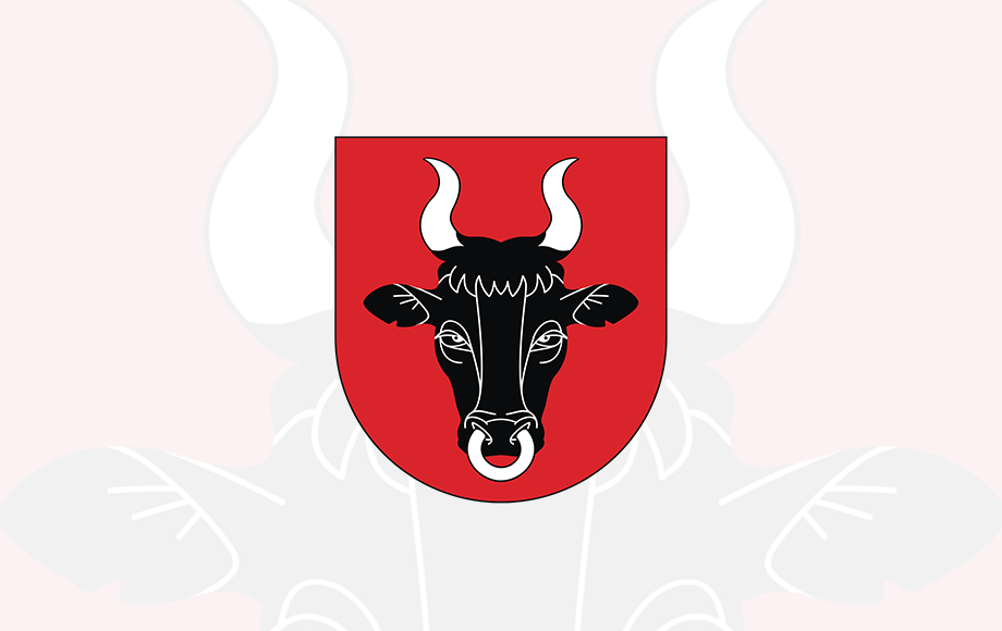 Portal informacyjny gminy Gmina Ryczywół Gmina Ryczywół