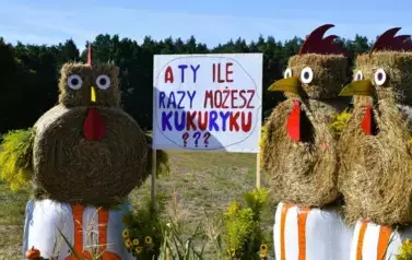 Witacze dożynkowe w Gminie Ryczyw&oacute;ł - 21.08.2025 r. 16
