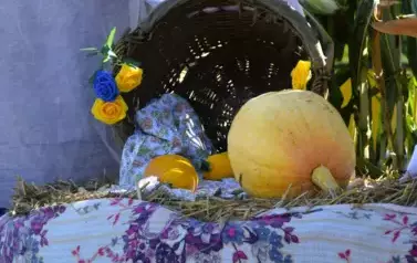 Witacze dożynkowe w Gminie Ryczyw&oacute;ł - 21.08.2025 r. 18