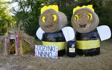 Witacze dożynkowe w Gminie Ryczyw&oacute;ł - 21.08.2025 r. 24