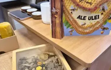 Edukacja ekologiczna w Gminie Ryczyw&oacute;ł w 2025 r.  16