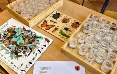 Edukacja ekologiczna w Gminie Ryczyw&oacute;ł w 2025 r.  18
