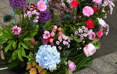 Warsztaty florystyczne w Ryczywole- 13.06.2026 r. 5