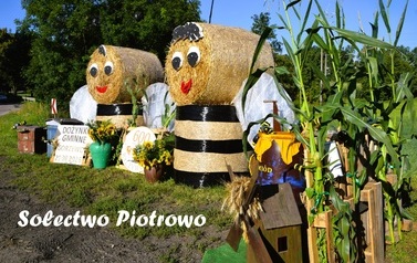 Witacze dożynkowe 2026 64