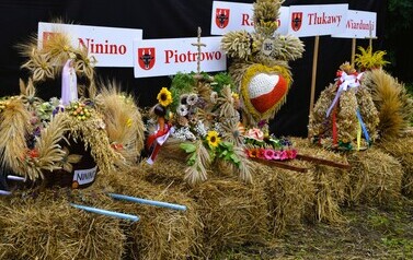 Dożynki gminne 2026 178