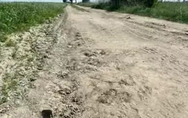 Droga na terenie działek o numerach ewidencyjnych 1 i 2 ( obręb Gorzewo, gmina Ryczyw&oacute;ł)