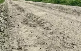 Droga na terenie działek o numerach ewidencyjnych 1 i 2 ( obręb Gorzewo, gmina Ryczyw&oacute;ł)