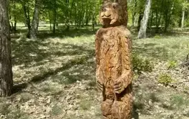Leśny Zakątek w Ryczywole 5