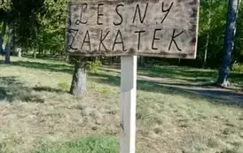 Leśny Zakątek w Ryczywole 6
