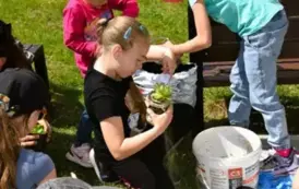 Piknik Ekologiczny w Wiardunkach 31 maja 2025 r. 9