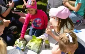 Piknik Ekologiczny w Wiardunkach 31 maja 2025 r. 10