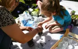 Piknik Ekologiczny w Wiardunkach 31 maja 2025 r. 14