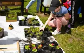 Piknik Ekologiczny w Wiardunkach 31 maja 2025 r. 16