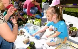Piknik Ekologiczny w Wiardunkach 31 maja 2025 r. 17