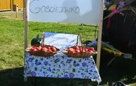 Witacze dożynkowe w Gminie Ryczyw&oacute;ł - 21.08.2025 r. 26