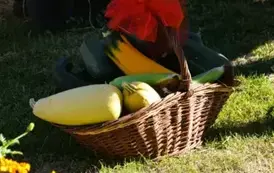 Witacze dożynkowe w Gminie Ryczyw&oacute;ł - 21.08.2025 r. 29