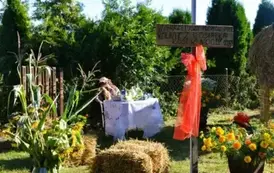 Witacze dożynkowe w Gminie Ryczyw&oacute;ł - 21.08.2025 r. 34