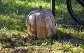 Wyjątkowy prezent dla przedszkolak&oacute;w z Ryczywołu- 03.10.2025 r. 1