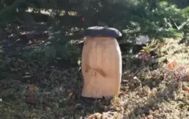 Wyjątkowy prezent dla przedszkolak&oacute;w z Ryczywołu- 03.10.2025 r. 4