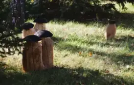 Wyjątkowy prezent dla przedszkolak&oacute;w z Ryczywołu- 03.10.2025 r. 5