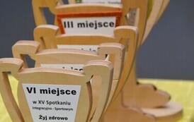 XV Spotkanie Integracyjno-Sportowe &bdquo;Żyj zdrowo na sportowo&rdquo; w Wiardunkach, 10.06.2026 r. 26