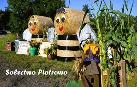 Witacze dożynkowe 2026 64