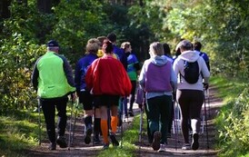 VII Rajd Nordic Walking &bdquo;Z kijkami po zdrowie&rdquo; w Boruchowie, 26.09.2026 r. 8