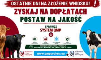 Ekoschemat „Dobrostan zwierząt” Dodatkowe pieniądze dla hodowców z QMP – tylko do 1 czerwca!
