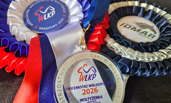 Młodzi sportowcy z Gminy Ryczywół z kolejnymi sukcesami!