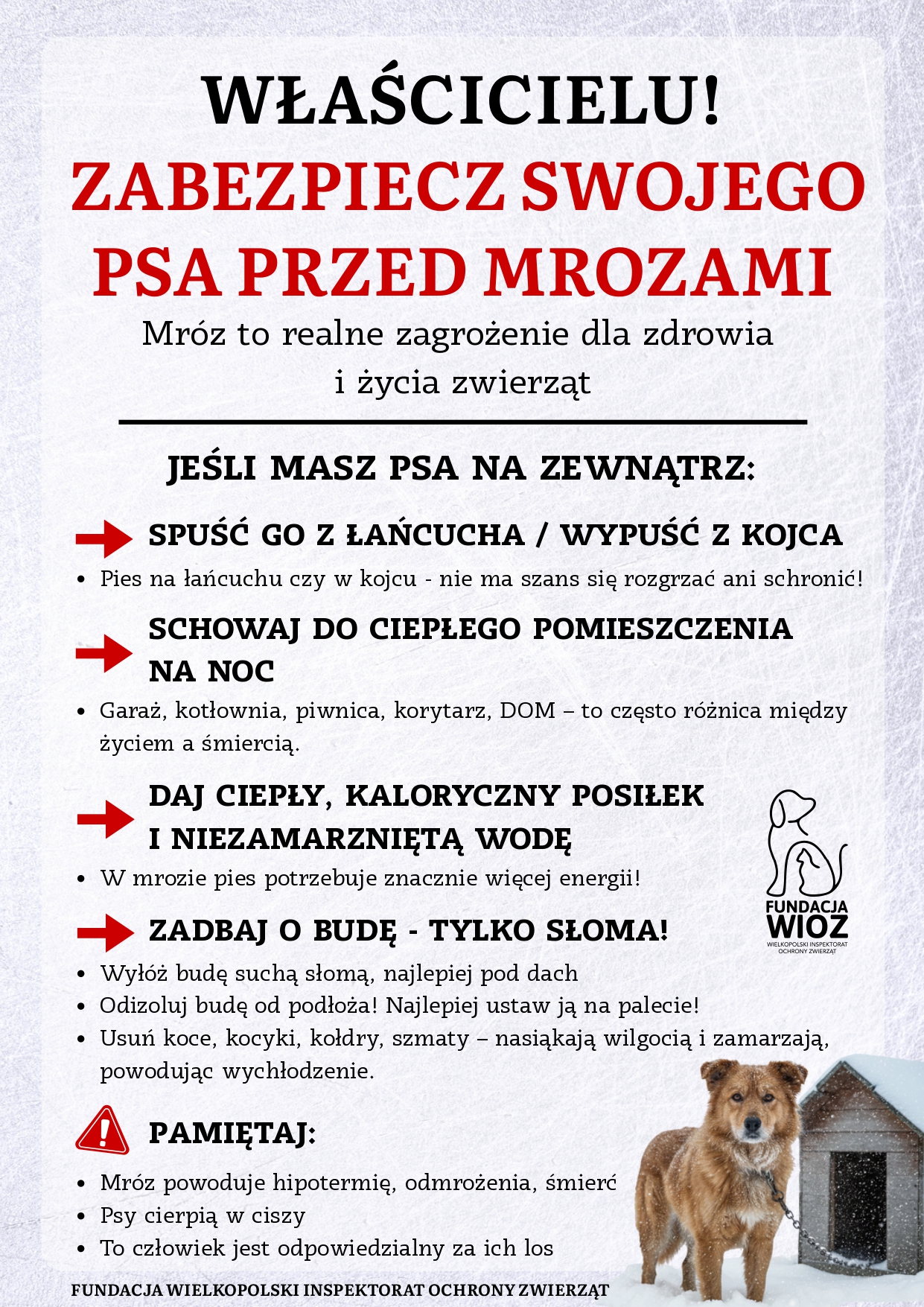 Plakat zawierający informację o&nbsp;zabezpieczeniu ps&oacute;w przed mrozem 