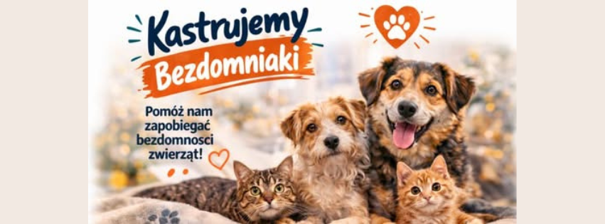 Pom&oacute;żmy bezdomnym zwierzętom &ndash; trwa akcja &bdquo;Kastrujemy Bezdomniaki&rdquo;