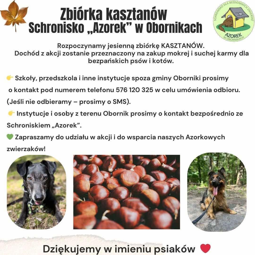 Plakat promujący akcję