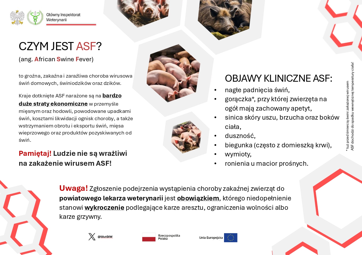 Plakat nt. ASF