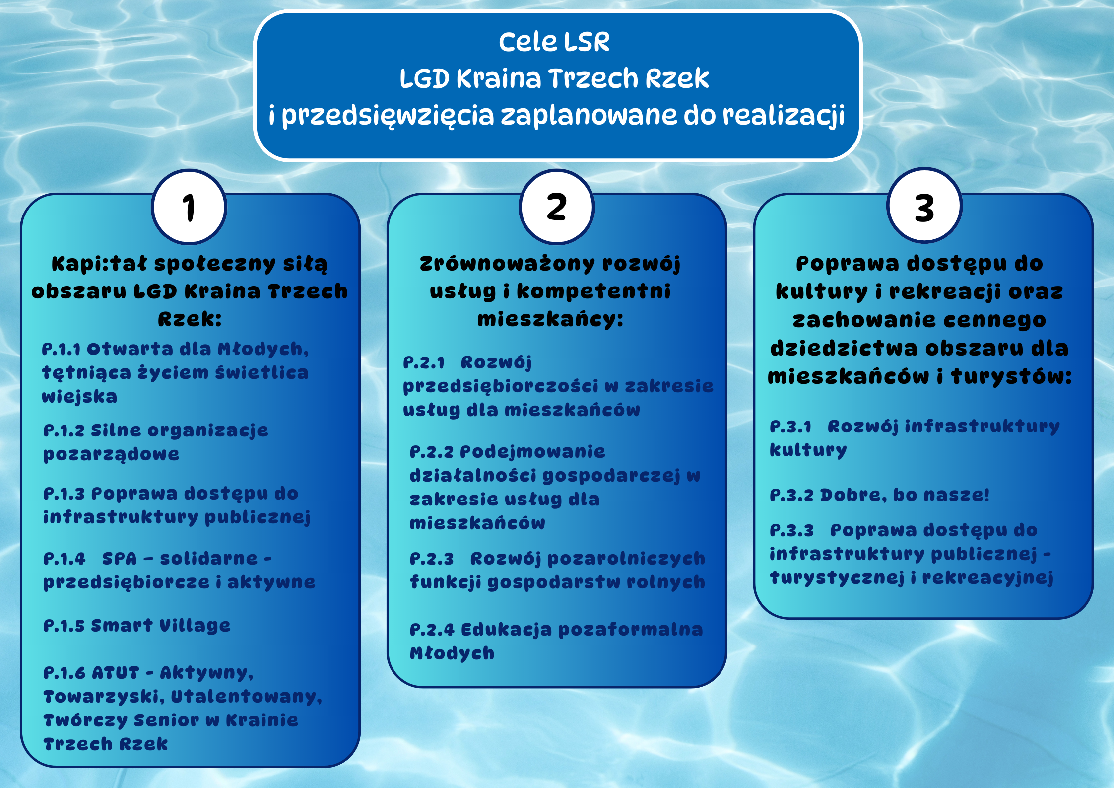 Cele LSR i&nbsp;przedsięwzięcia