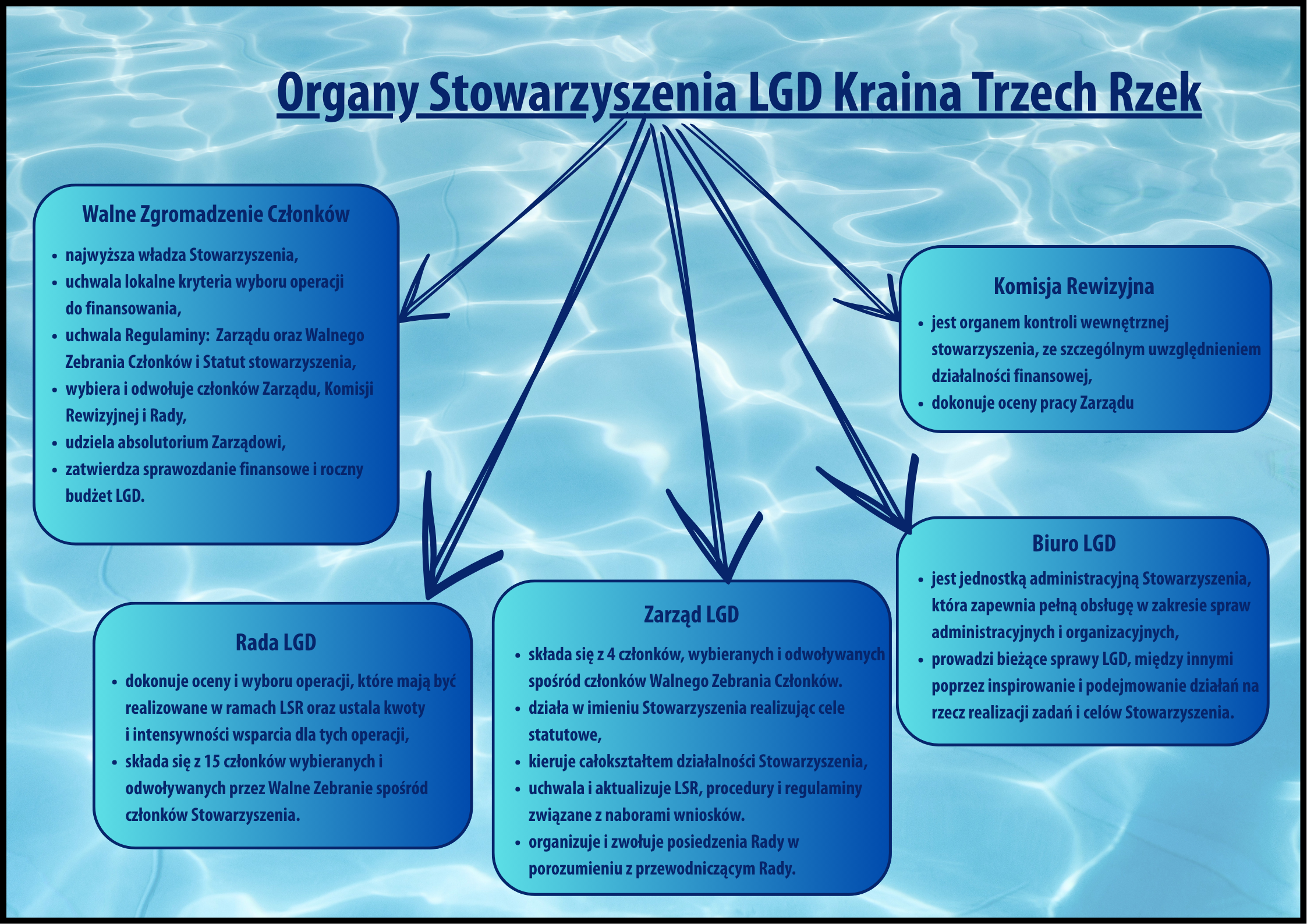 Schemat Organ&oacute;w Stowarzyszenia