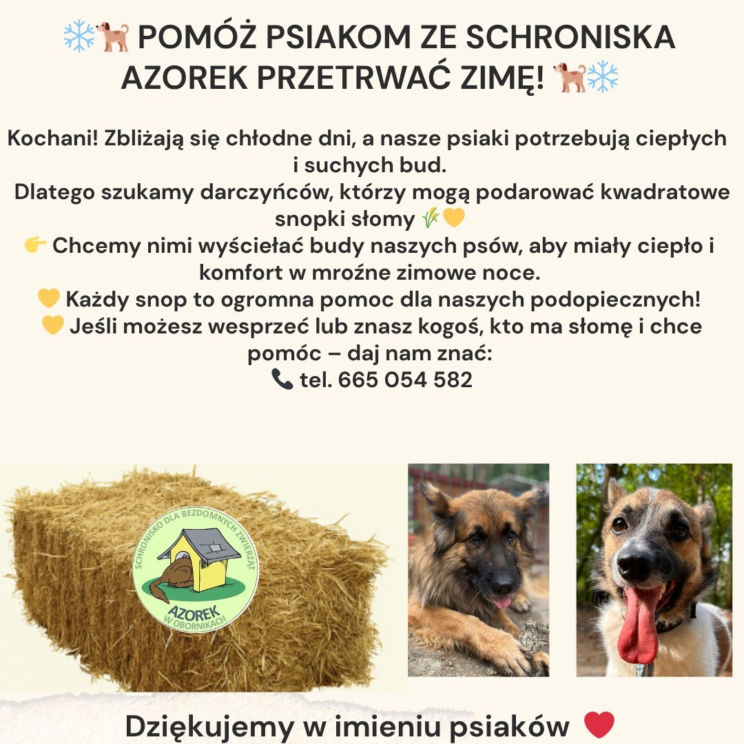 plakat promujący wydarzenie