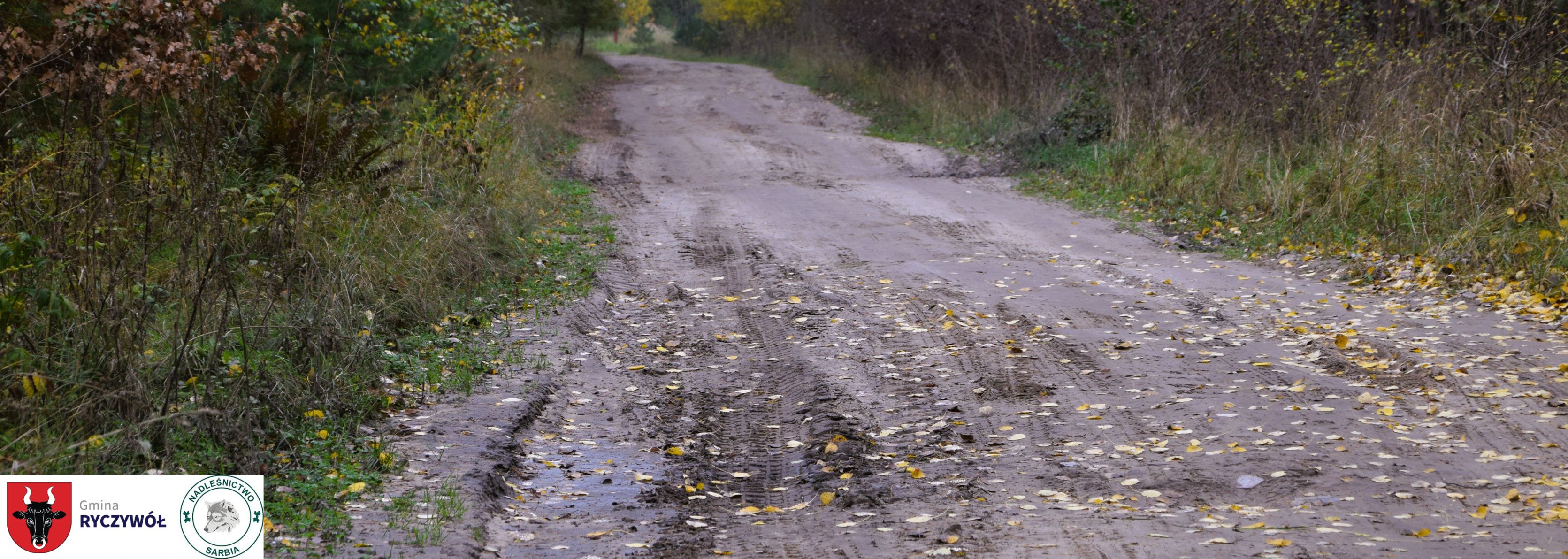 Wyłoniono wykonawcę remontu drogi Tłukawy&ndash;Igrzyna