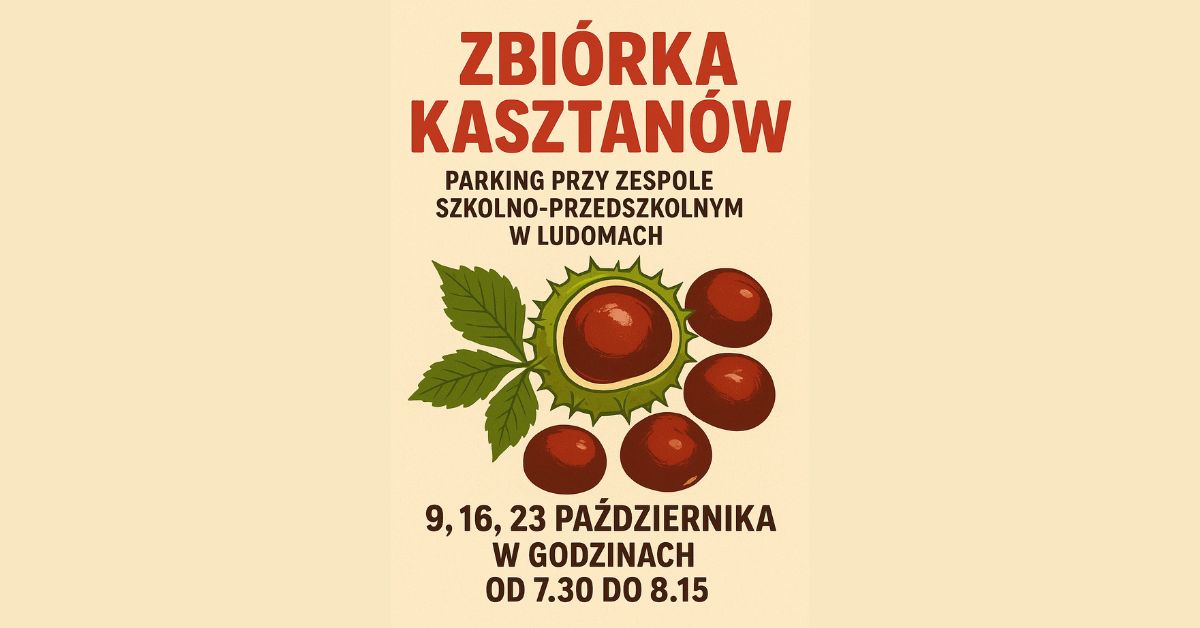 Zbi&oacute;rka kasztan&oacute;w