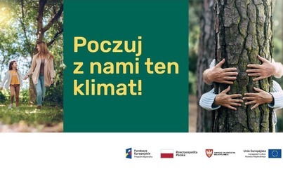 Zdjęcie do Z lasu wzięte&hellip;