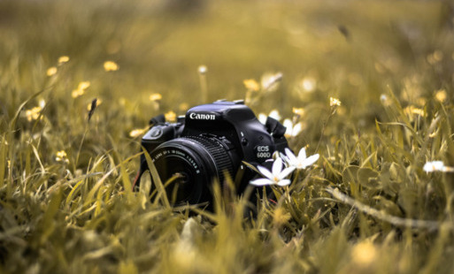 Zdjęcie artykułu z dnia 04-02-2026