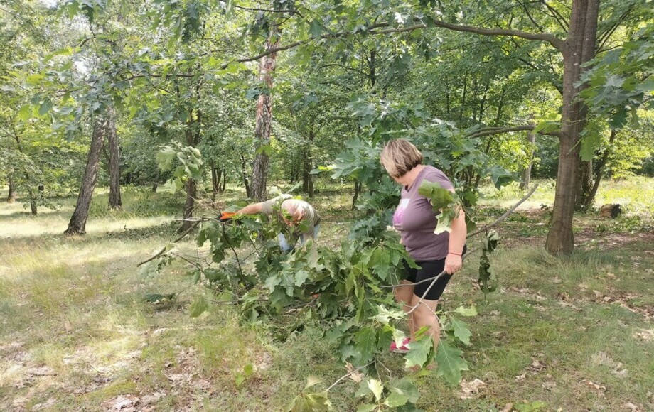 Akcja społeczna