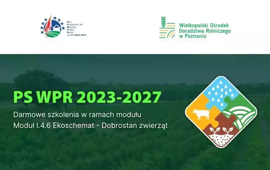 Kary za brak szkolenia z "Metod ograniczających stosowanie antybiotyków w produkcji zwierzęcej"