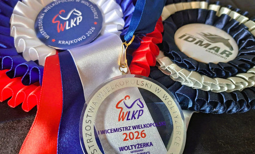 Młodzi sportowcy z Gminy Ryczywół z kolejnymi sukcesami!