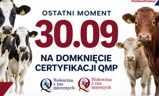Zdjęcie do Certyfikat QMP &mdash; termin uzyskania upływa 30 września 2026 r.