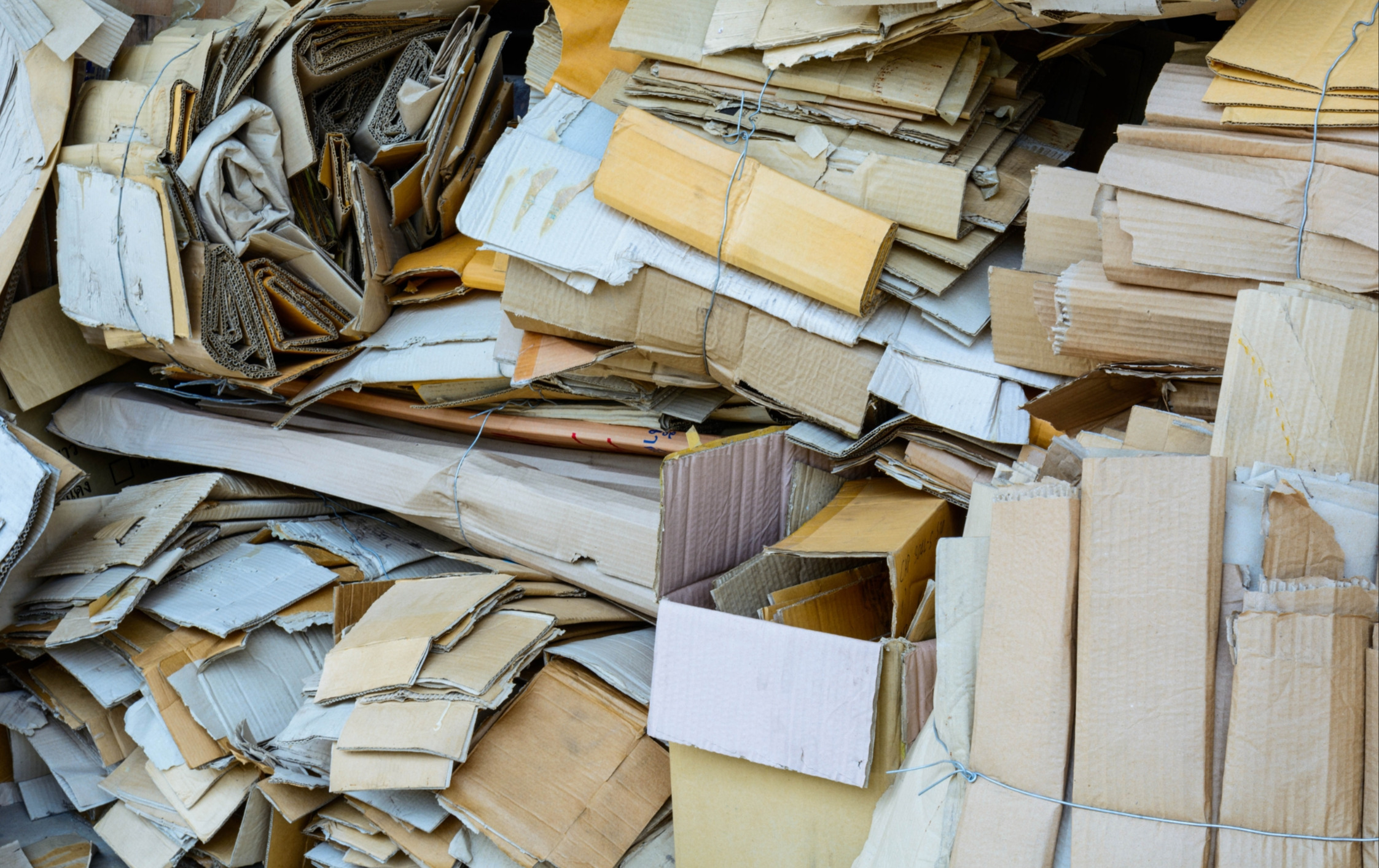 Wymień makulaturę na papier toaletowy – akcja przez cały czas trwa!